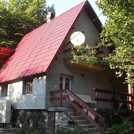 Casa De Oaspeti Boga Pietroasa  Extérieur photo