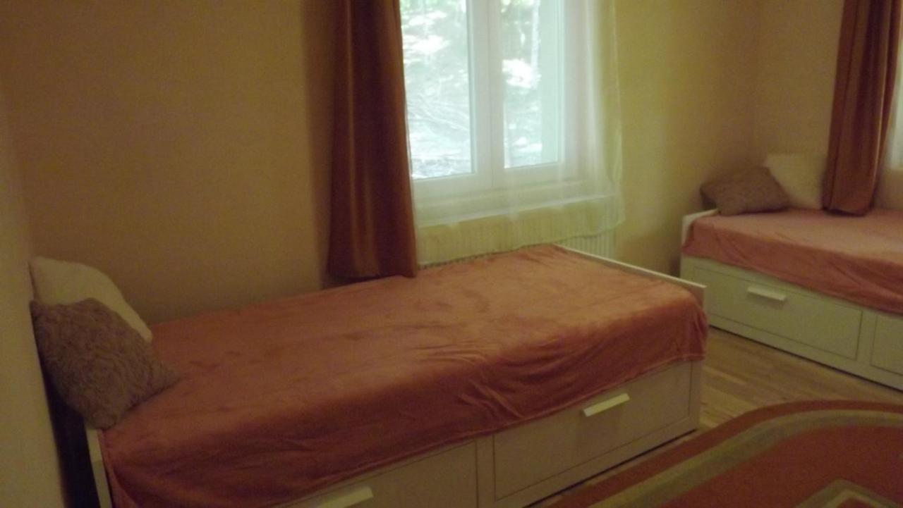 Casa De Oaspeti Boga Pietroasa  Extérieur photo